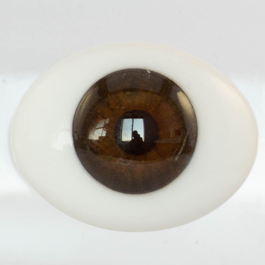 Glass Eyes - Oval - Brown - CC10 - Create A Little Magic (Pty) Ltd