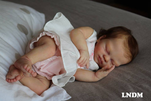 Lexi by Nikki Johnston - Create A Little Magic (Pty) Ltd