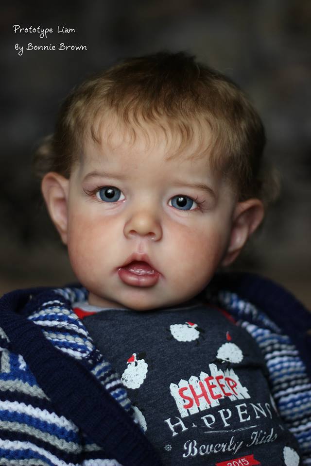 Liam by Bonnie Brown - Create A Little Magic (Pty) Ltd