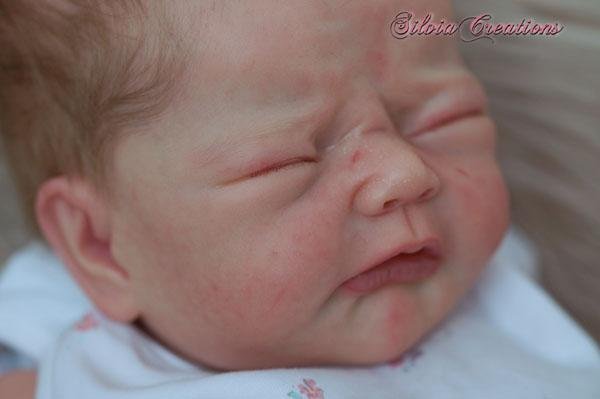Lucia by Adrie Stoete - Create A Little Magic (Pty) Ltd