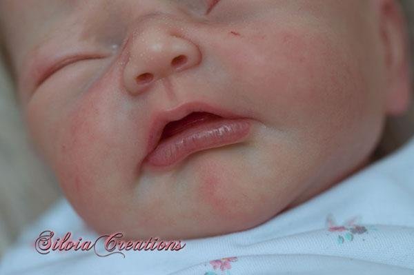 Lucia by Adrie Stoete - Create A Little Magic (Pty) Ltd