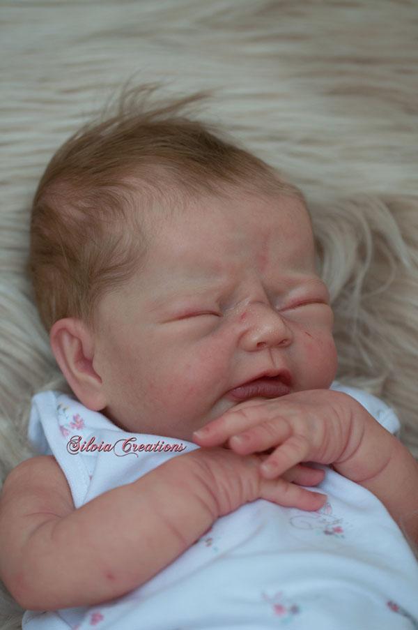 Lucia by Adrie Stoete - Create A Little Magic (Pty) Ltd