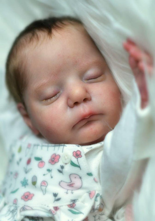 Neveah by Cassie Brace - Create A Little Magic (Pty) Ltd