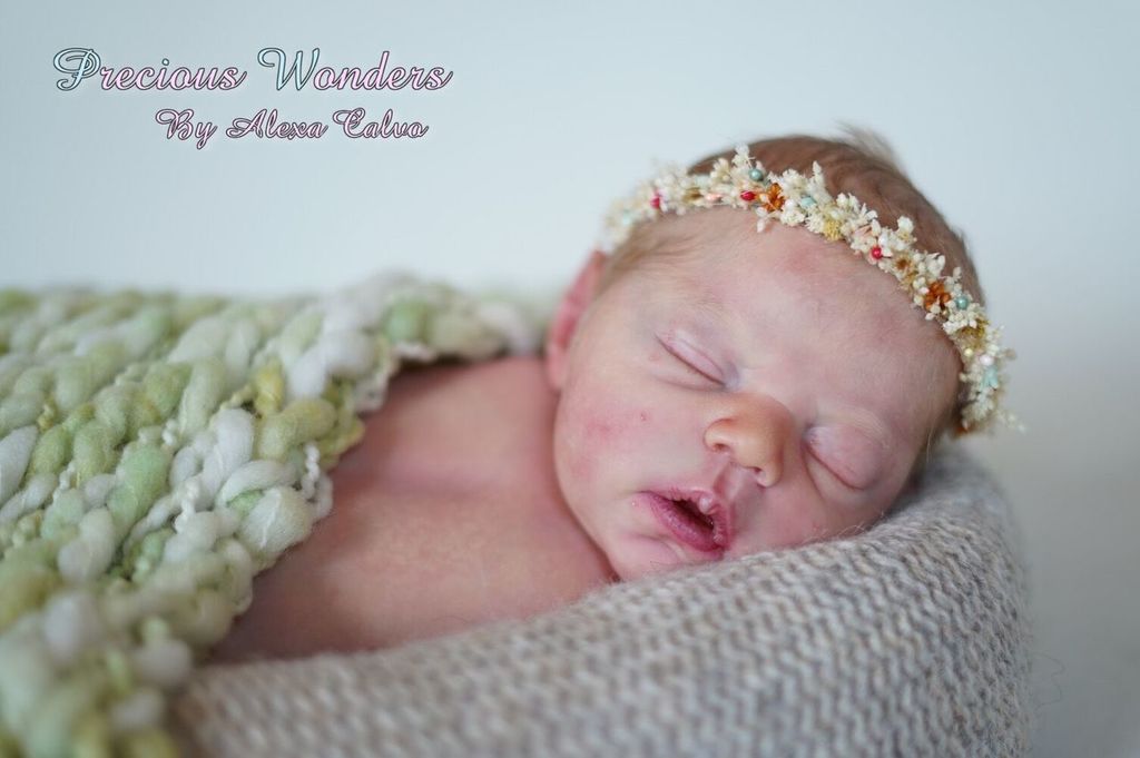 Phoebe by Ping Lau (Irresistibles ) - Create A Little Magic (Pty) Ltd