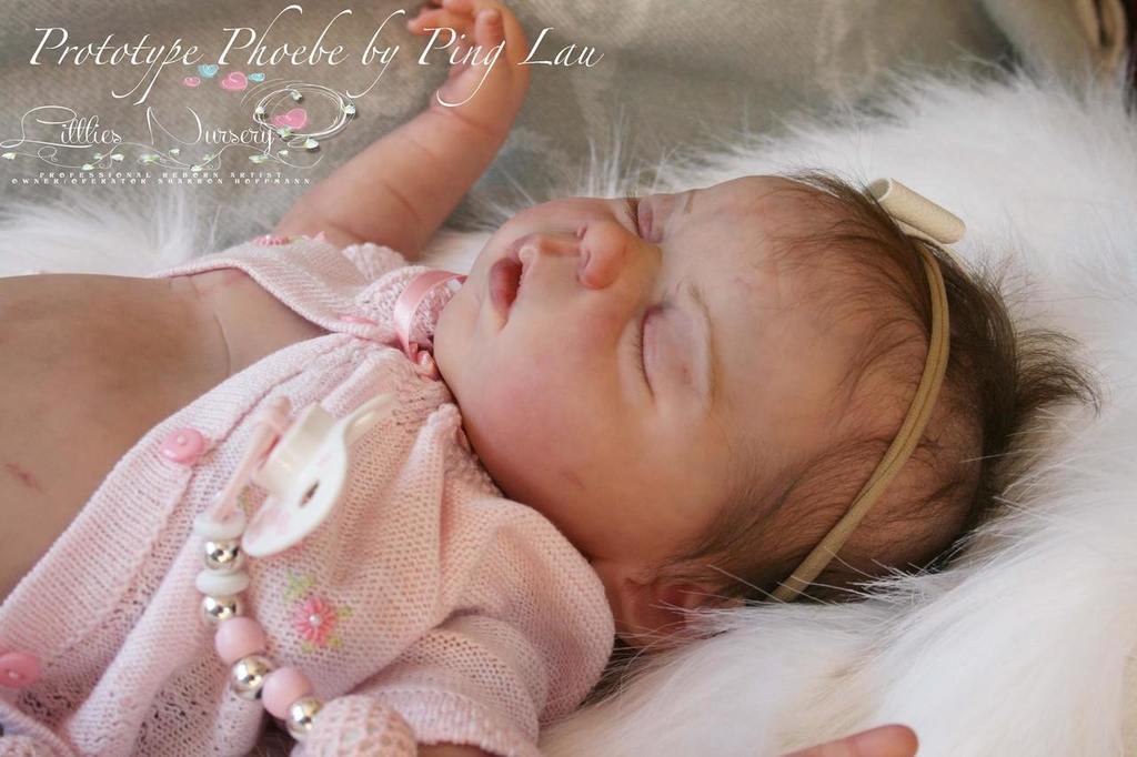 Phoebe by Ping Lau (Irresistibles ) - Create A Little Magic (Pty) Ltd