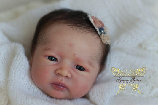 Posy by Nikki Johnston - Create A Little Magic (Pty) Ltd
