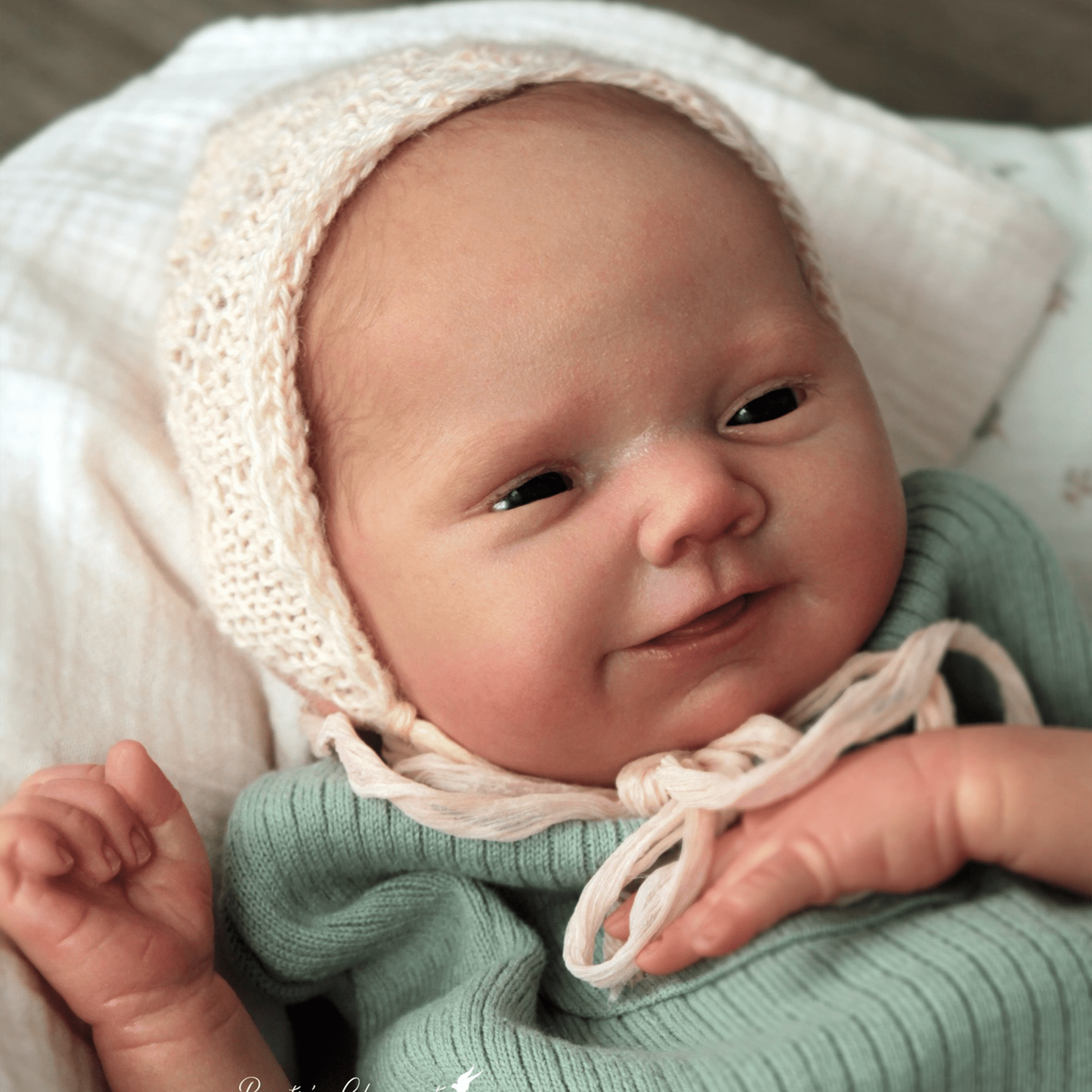 ***PRE-ORDER DEPOSIT*** Dottie by Adrie Stoete - Create A Little Magic (Pty) Ltd