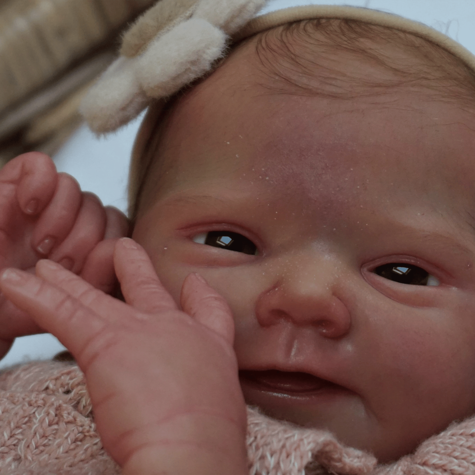 ***PRE-ORDER DEPOSIT*** Dottie by Adrie Stoete - Create A Little Magic (Pty) Ltd