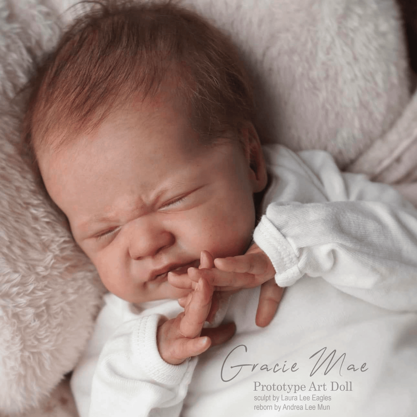 Gracie online reborn kit