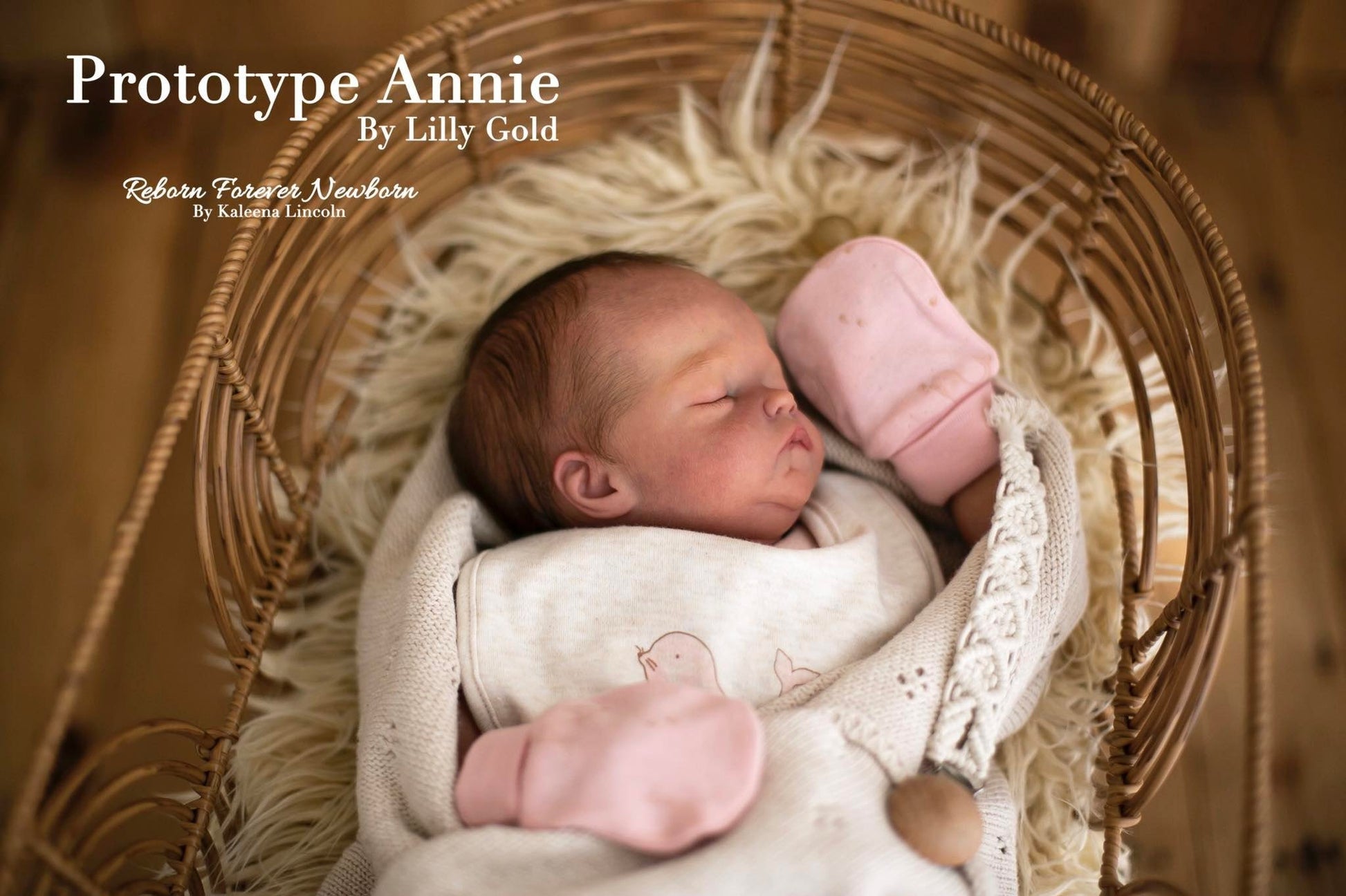 ***PRE-ORDER DEPOSIT ONLY*** Annie by Lilly Gold - Create A Little Magic (Pty) Ltd