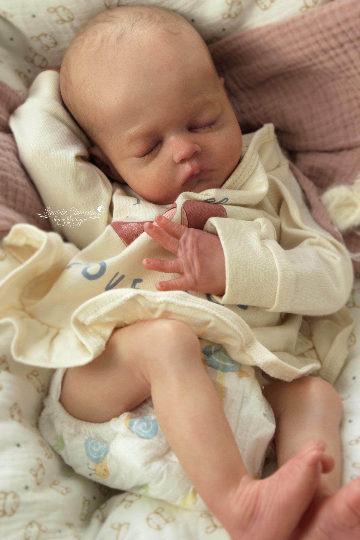 ***PRE-ORDER DEPOSIT ONLY*** Annie by Lilly Gold - Create A Little Magic (Pty) Ltd