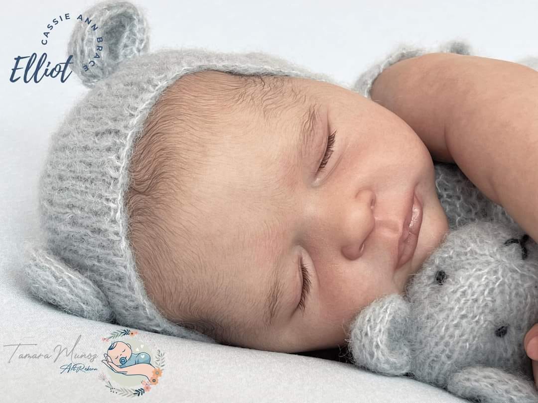***PRE-ORDER DEPOSIT ONLY*** Elliot by Cassie Brace - Create A Little Magic (Pty) Ltd