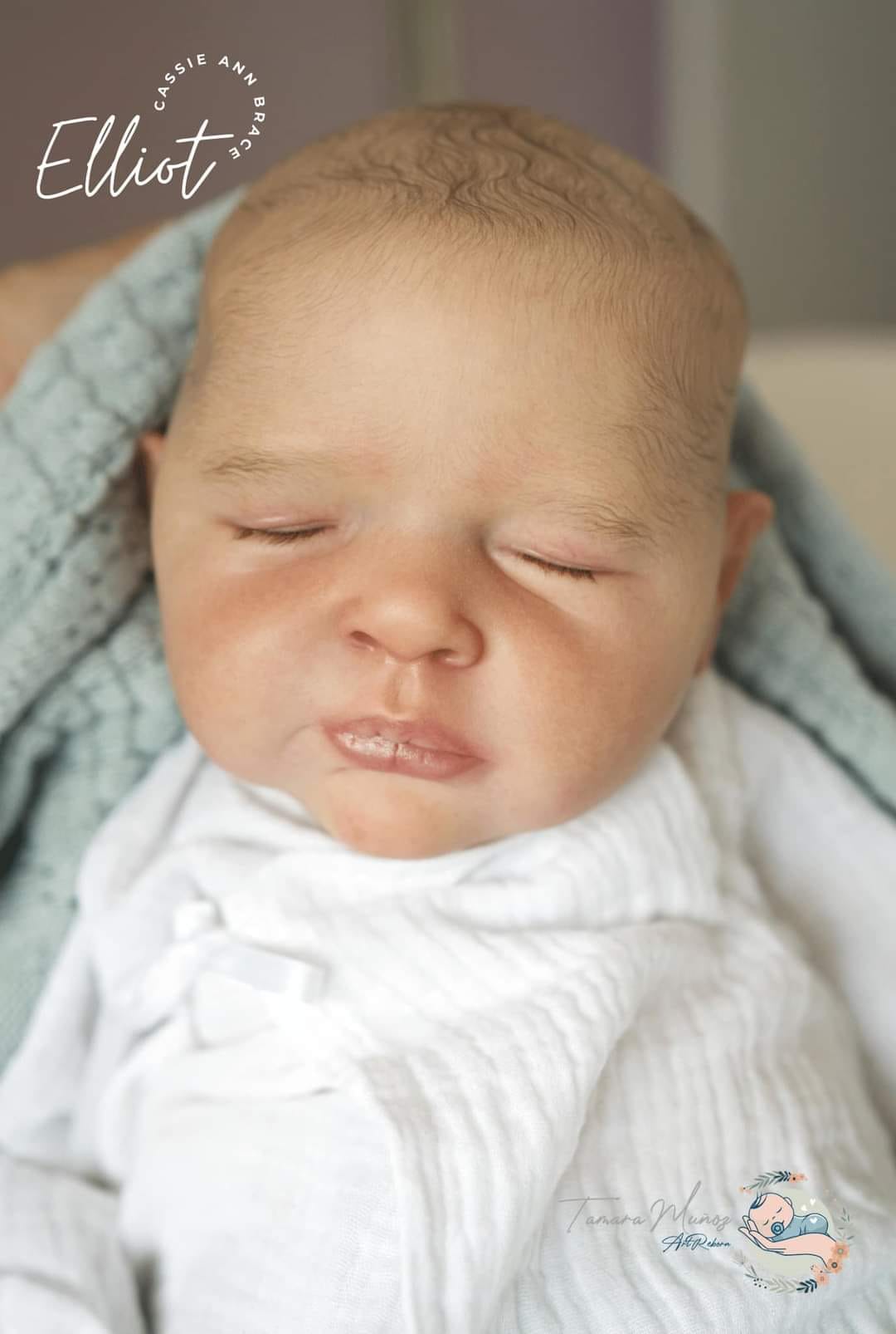 ***PRE-ORDER DEPOSIT ONLY*** Elliot by Cassie Brace - Create A Little Magic (Pty) Ltd