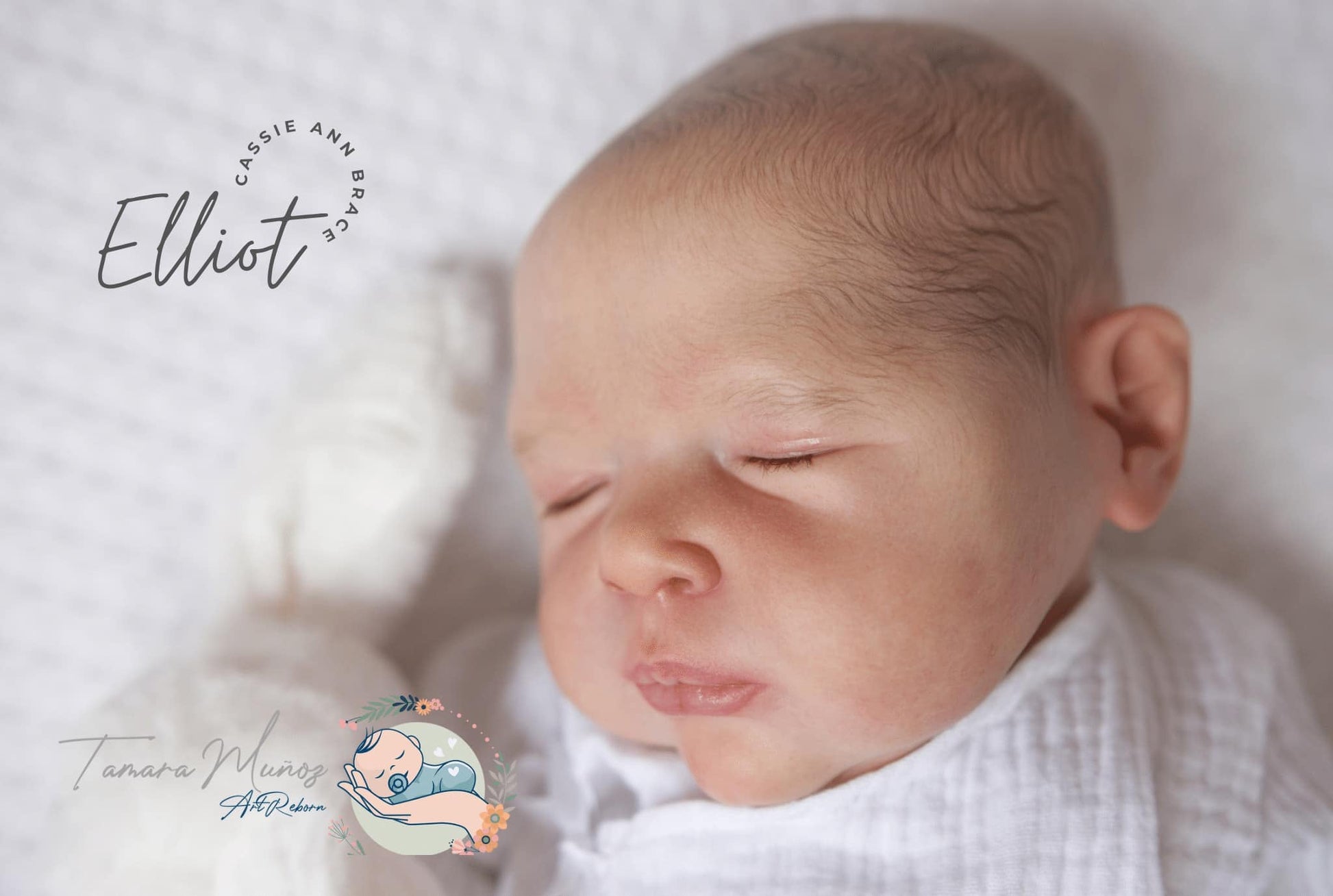 ***PRE-ORDER DEPOSIT ONLY*** Elliot by Cassie Brace - Create A Little Magic (Pty) Ltd