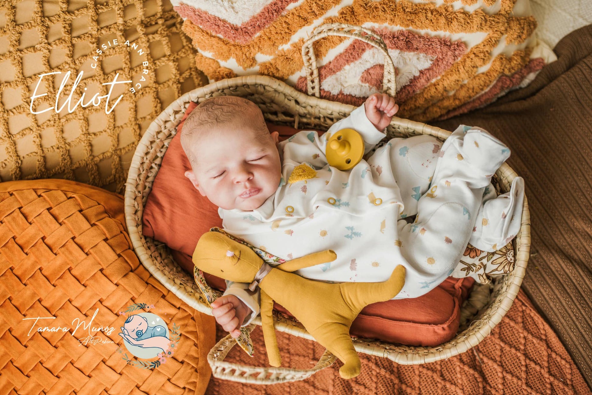 ***PRE-ORDER DEPOSIT ONLY*** Elliot by Cassie Brace - Create A Little Magic (Pty) Ltd