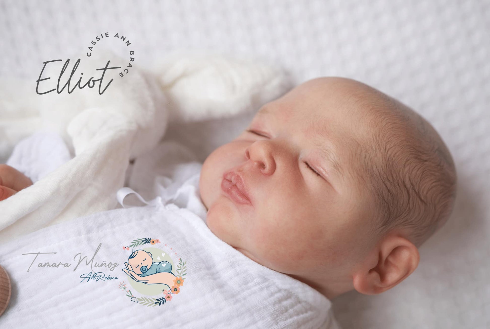 ***PRE-ORDER DEPOSIT ONLY*** Elliot by Cassie Brace - Create A Little Magic (Pty) Ltd