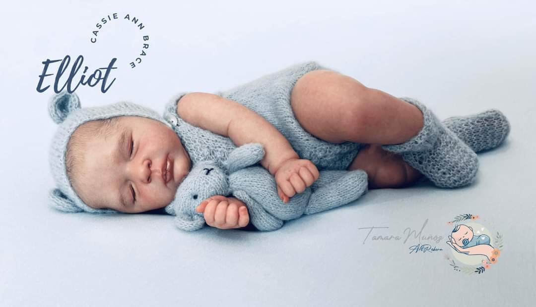 ***PRE-ORDER DEPOSIT ONLY*** Elliot by Cassie Brace - Create A Little Magic (Pty) Ltd