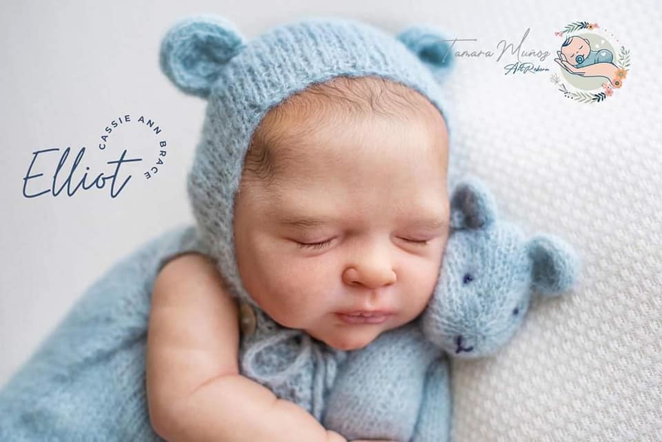 ***PRE-ORDER DEPOSIT ONLY*** Elliot by Cassie Brace - Create A Little Magic (Pty) Ltd