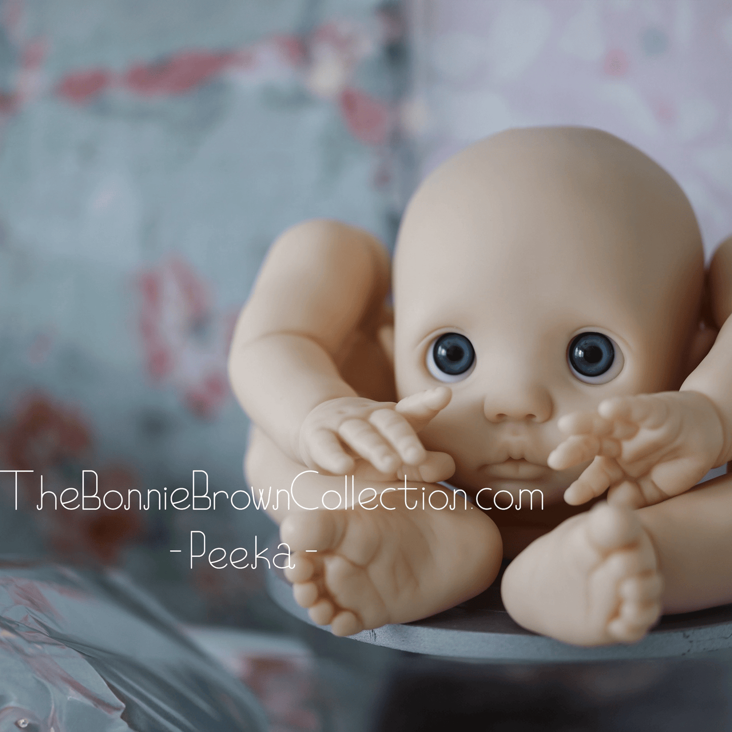 ***PRE-ORDER DEPOSIT ONLY*** Peeka by Bonnie Brown - Create A Little Magic (Pty) Ltd