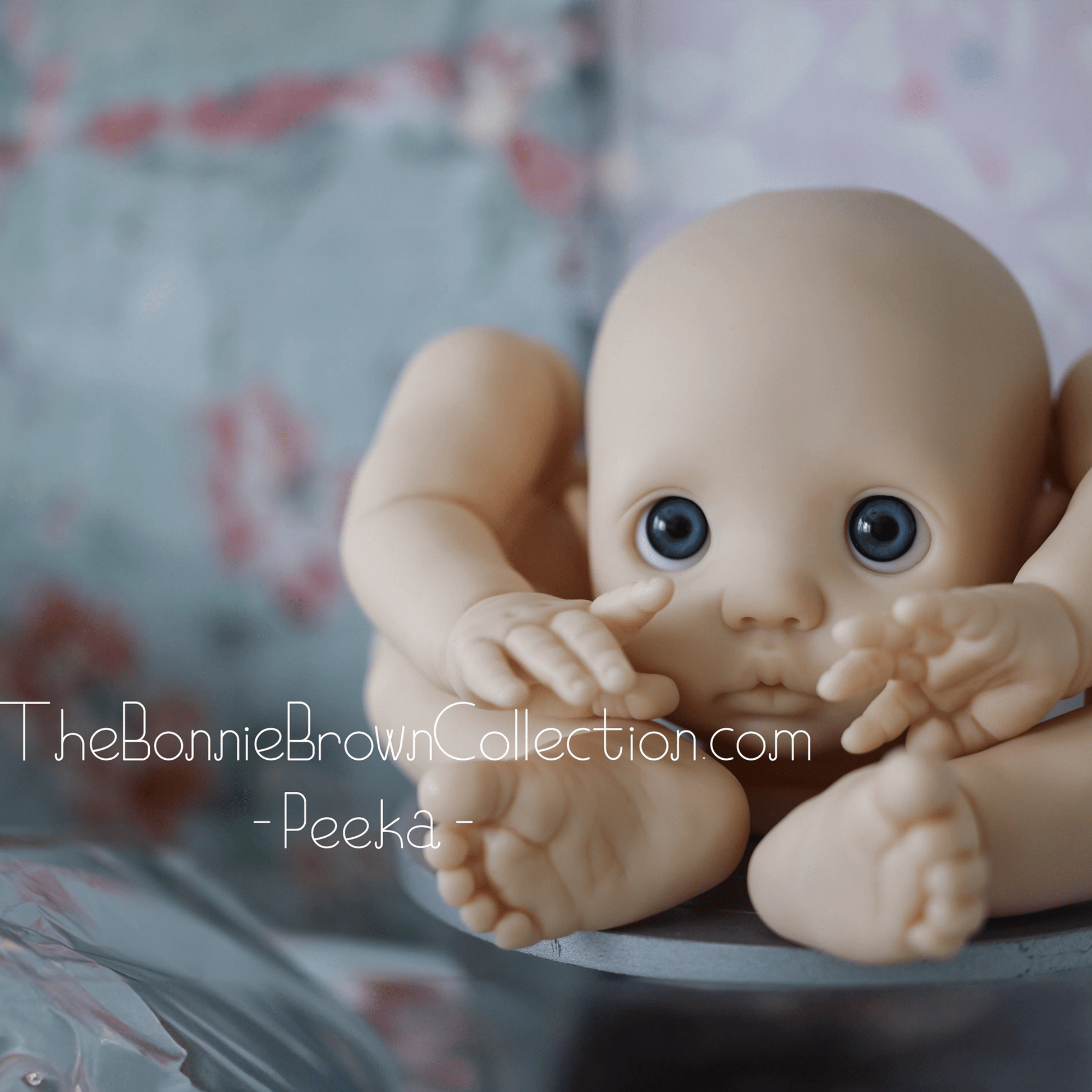 ***PRE-ORDER DEPOSIT ONLY*** Peeka by Bonnie Brown - Create A Little Magic (Pty) Ltd