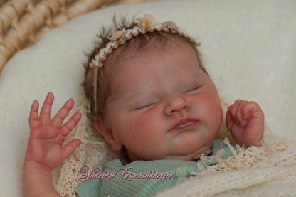 ***PRE-ORDER DEPOSIT ONLY*** Quinlyn by Bonnie Brown & Adrie Stoete - Create A Little Magic (Pty) Ltd