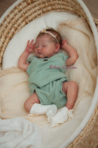 ***PRE-ORDER DEPOSIT ONLY*** Quinlyn by Bonnie Brown & Adrie Stoete - Create A Little Magic (Pty) Ltd