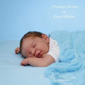***PRE-ORDER DEPOSIT ONLY*** Sterling by Dawn Murry McLeod - Create A Little Magic (Pty) Ltd