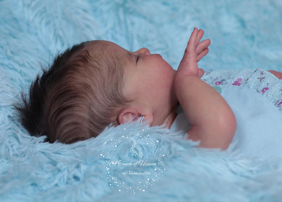 ***PRE-ORDER DEPOSIT ONLY*** Twyla by Laura Lee Eagles - Create A Little Magic (Pty) Ltd