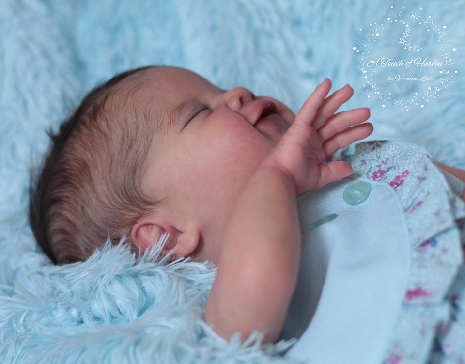 ***PRE-ORDER DEPOSIT ONLY*** Twyla by Laura Lee Eagles - Create A Little Magic (Pty) Ltd