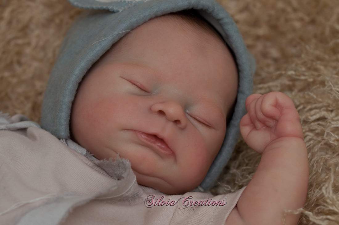 Timothy by Sabrina Hergarten - Create A Little Magic (Pty) Ltd