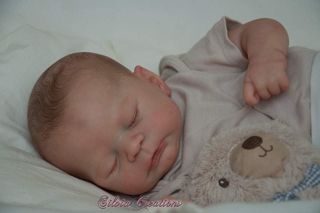 Timothy by Sabrina Hergarten - Create A Little Magic (Pty) Ltd