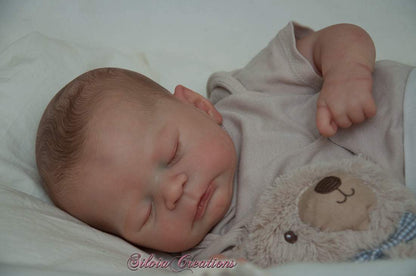 Timothy by Sabrina Hergarten - Create A Little Magic (Pty) Ltd