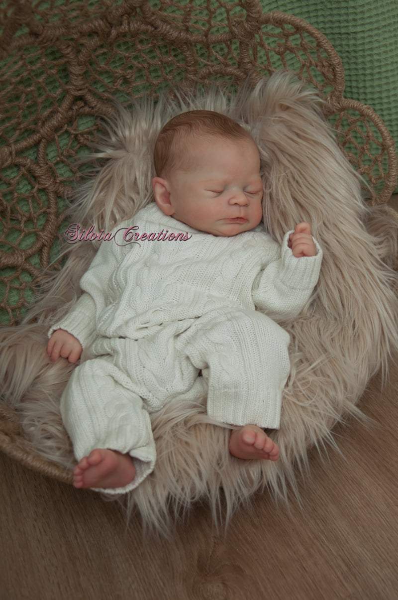 Timothy by Sabrina Hergarten - Create A Little Magic (Pty) Ltd