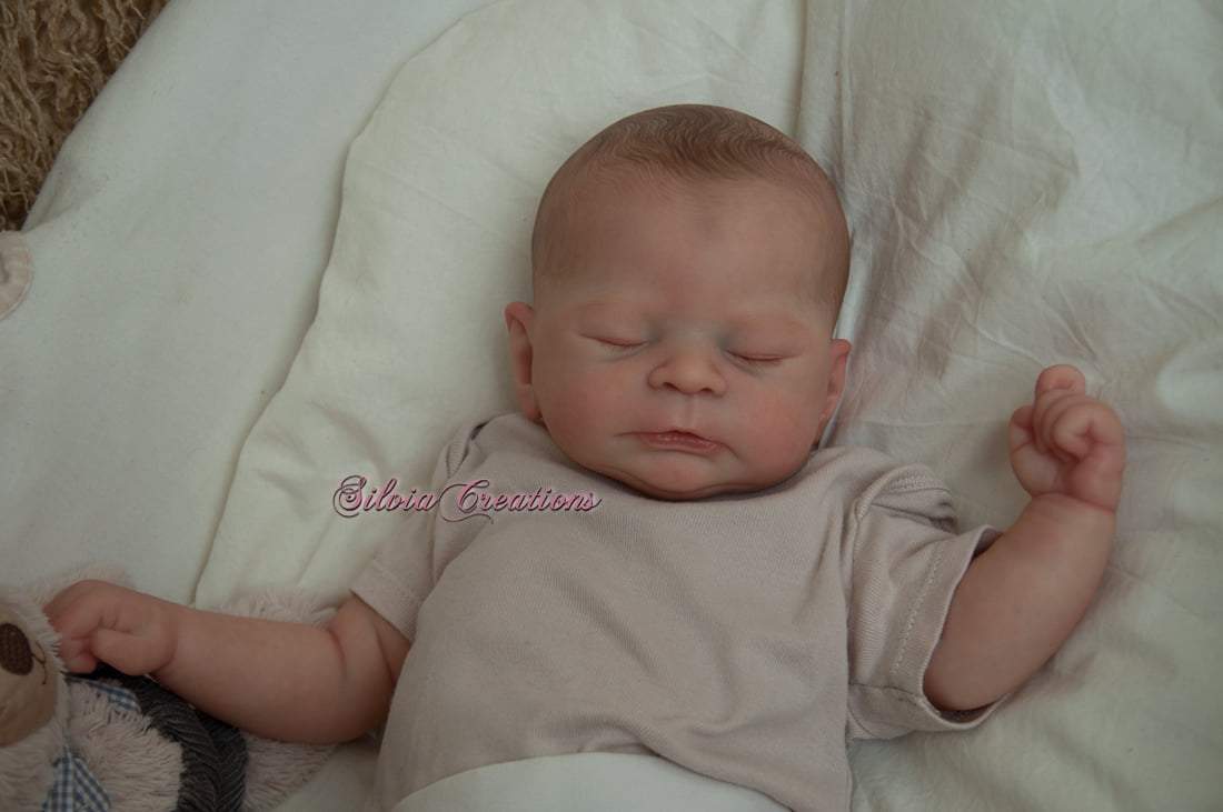 Timothy by Sabrina Hergarten - Create A Little Magic (Pty) Ltd
