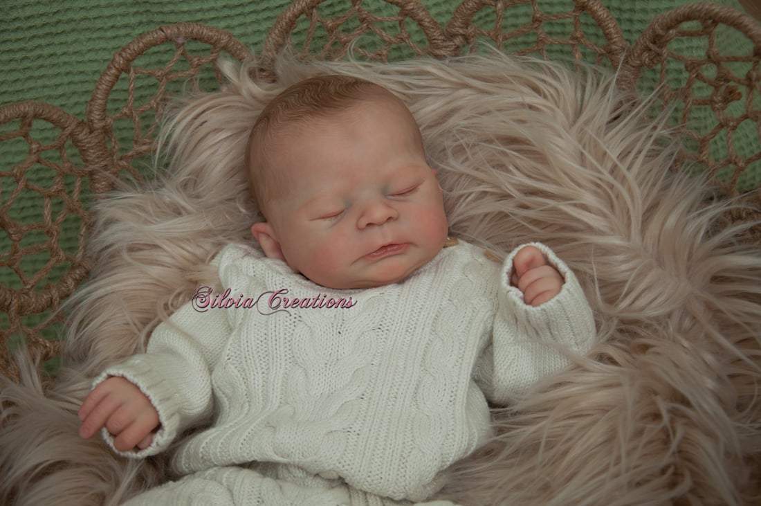 Timothy by Sabrina Hergarten - Create A Little Magic (Pty) Ltd