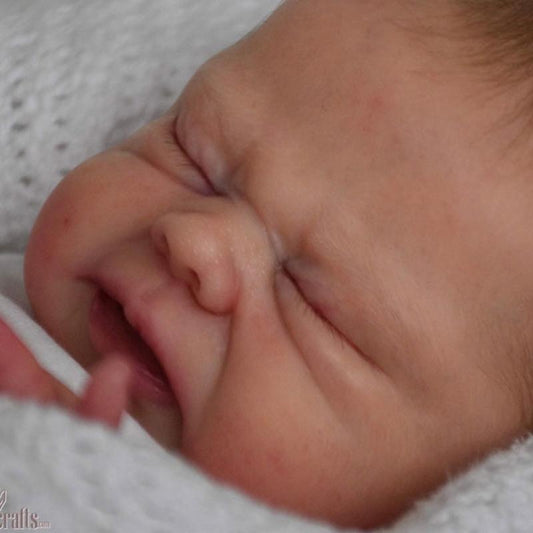 Vincent by Nikki Johnston - Create A Little Magic (Pty) Ltd